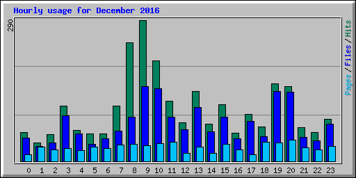 Hourly usage for December 2016