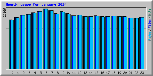 Hourly usage for January 2024