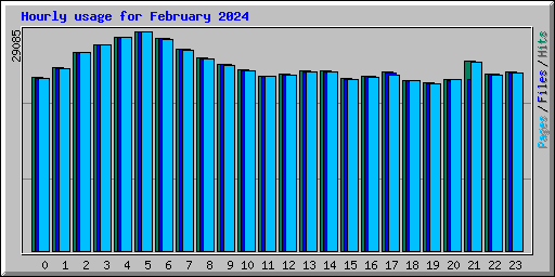 Hourly usage for February 2024