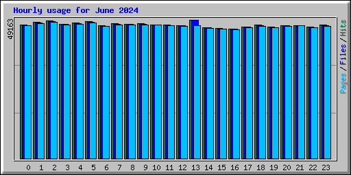 Hourly usage for June 2024