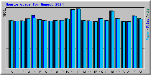 Hourly usage for August 2024