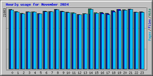 Hourly usage for November 2024