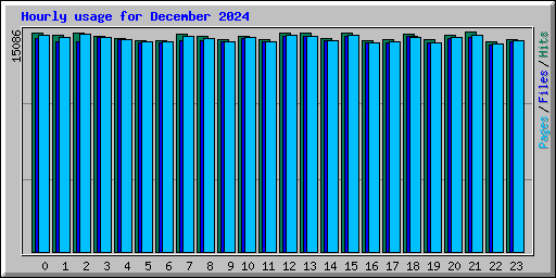 Hourly usage for December 2024