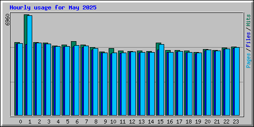 Hourly usage for May 2025