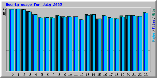 Hourly usage for July 2025