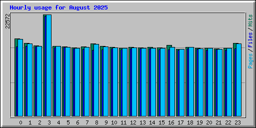 Hourly usage for August 2025