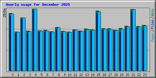 Hourly usage for December 2025