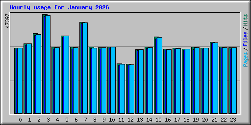 Hourly usage for January 2026