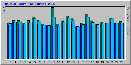 Hourly usage for August 2026